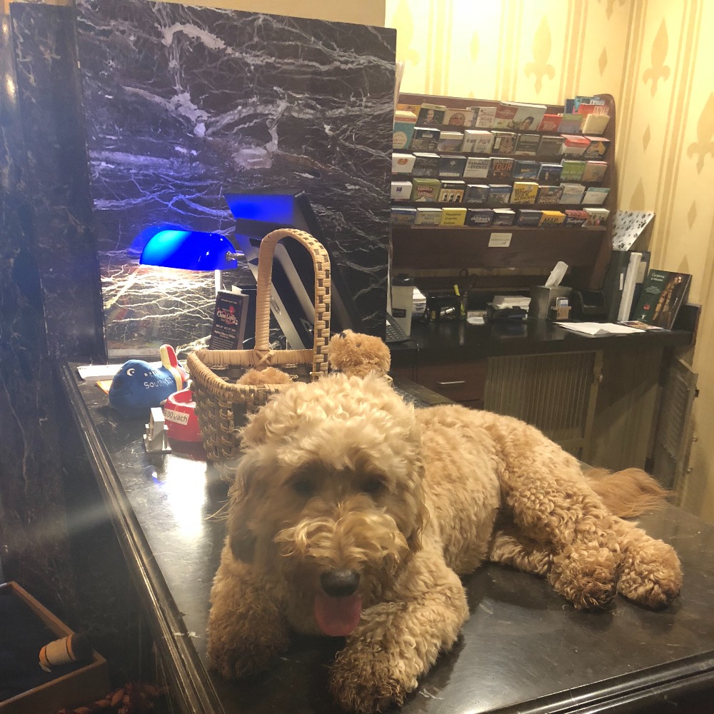 Meet your Posher, Rachel